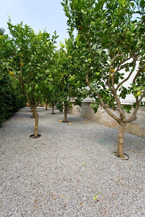Boutique Rentals- Hidden Garden Porto'S Downtown Bagian luar foto
